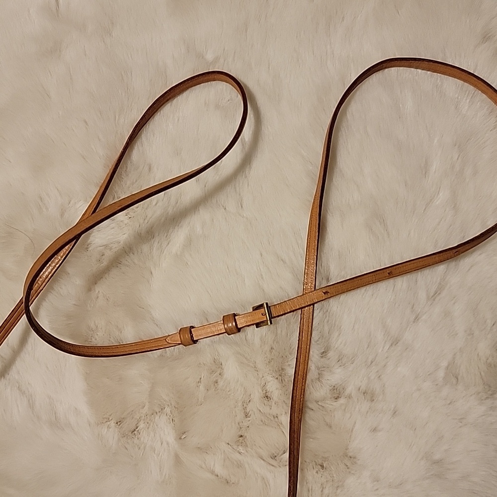 Louis Vuitton Seafoam Green Trifold  Vernis Walker Crossbody - Picture 12 of 13